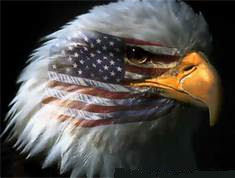 government eagle